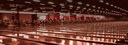 Bowling-QubicaAMF-Lane-Care-&-Resurfacing-Supplies-Features-banner.jpg